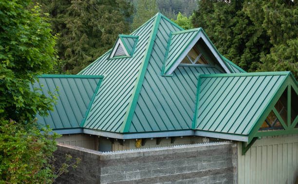 Best Roof Insulation Installation  in Colonial Heights, VA